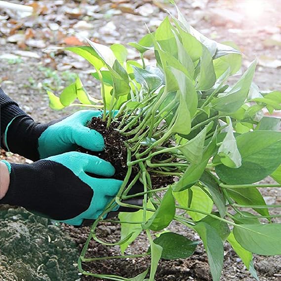 The Claw Gardening Gloves - For Planting